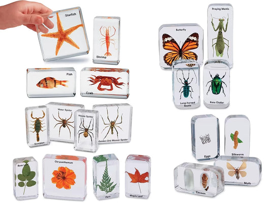 Easy-View Early Science Specimens - Complete Set - US 6565