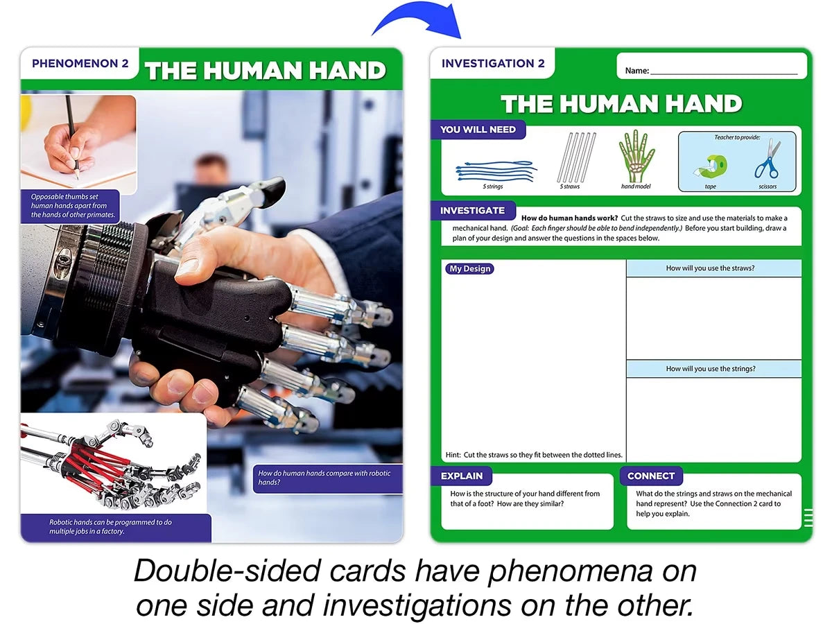 Meet the Standards Human Body Kit - Gr. 4 - US 3046