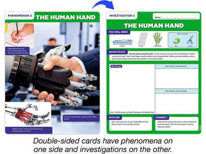 Meet the Standards Human Body Kit - Gr. 4 - US 3046