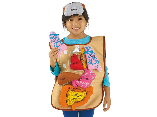 What’s Inside Me? Apron - US 1461
