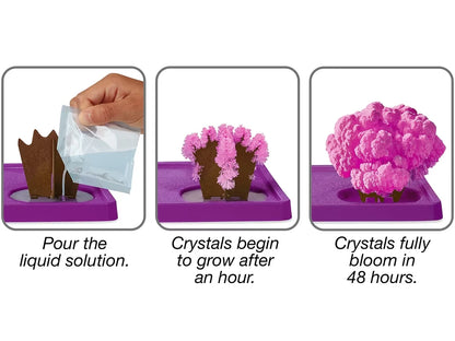 Dinosaurs Magic Crystal Growing Kit - US 4784
