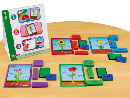 Plants Instant Learning Center - US 5570