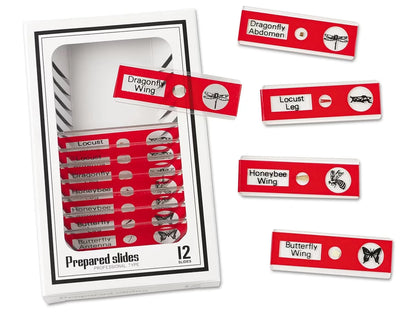 Insects Prepared Slide Kit - US 3153