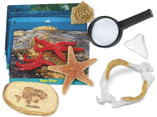 Sea Life Specimen Center - US 4612
