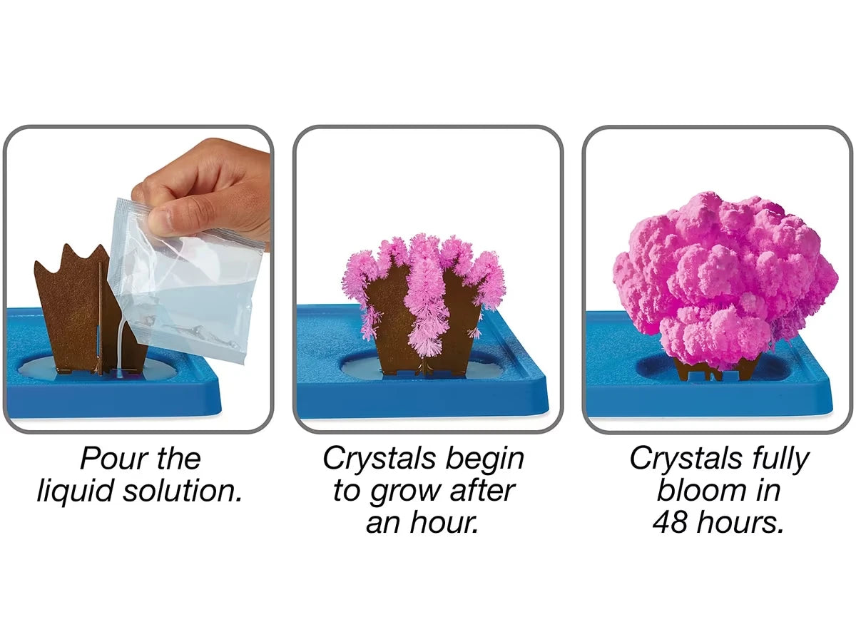 Sea Life Magic Crystal Growing Kit - US 2221