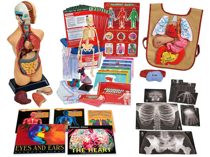 AHA Healthy Hearts & Brains Kit - US 4545