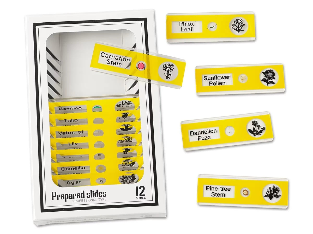 Plants Prepared Slide Kit - US 4110