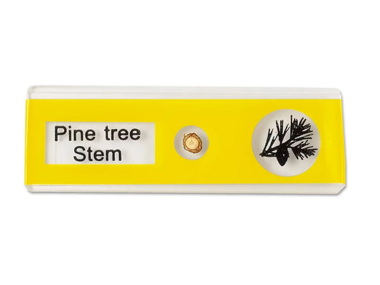 Plants Prepared Slide Kit - US 4110