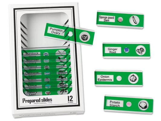 Vegetables Prepared Slide Kit - US 7376