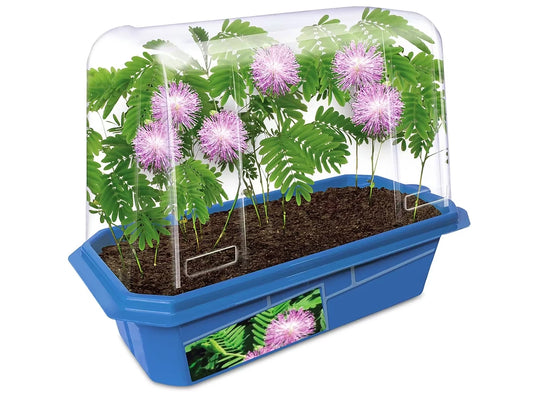 Grow-Your-Own Moving Plant - US 3638