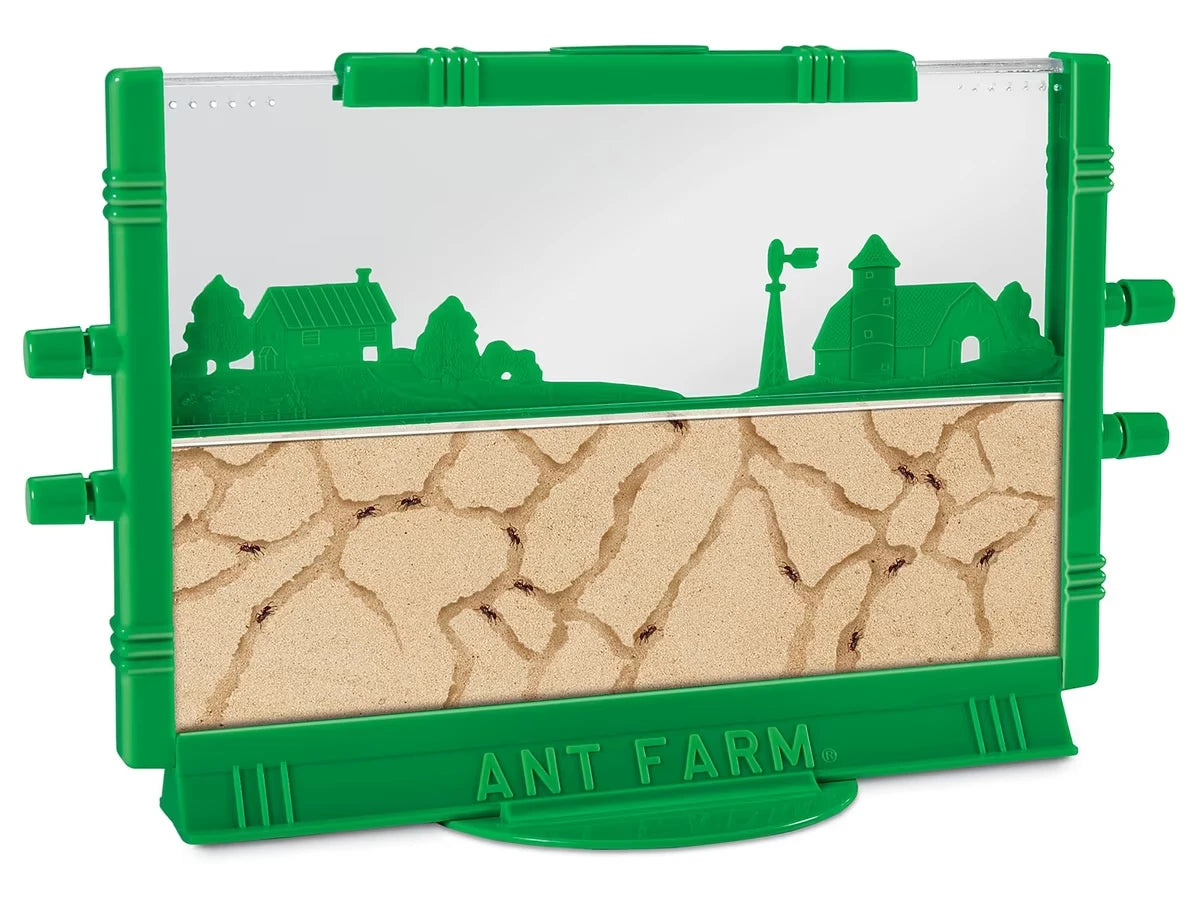 Ant Farm - US 4305