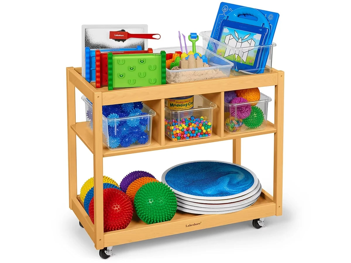 Mobile Sensory Cart - US 5812