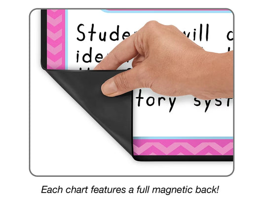 Magnetic Write & Wipe Organization Charts - US 6663