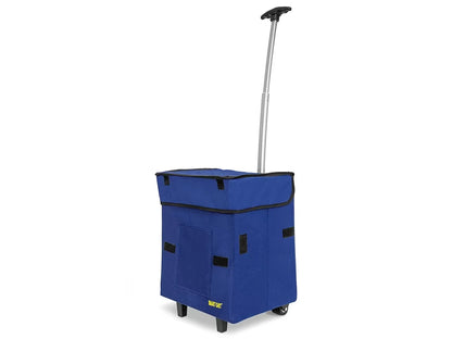 Standard Smart Cart - US 5831
