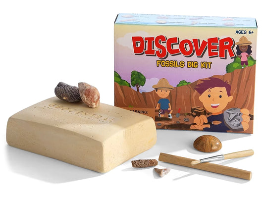 Fossil Excavation Kit - US 9958