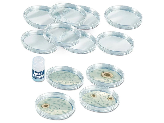 Growing Bacteria Classroom Kit - US 3488